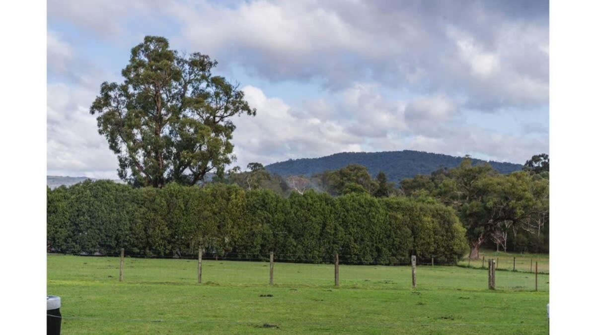 The Junction By Tiny Away Holiday home Yarra Junction