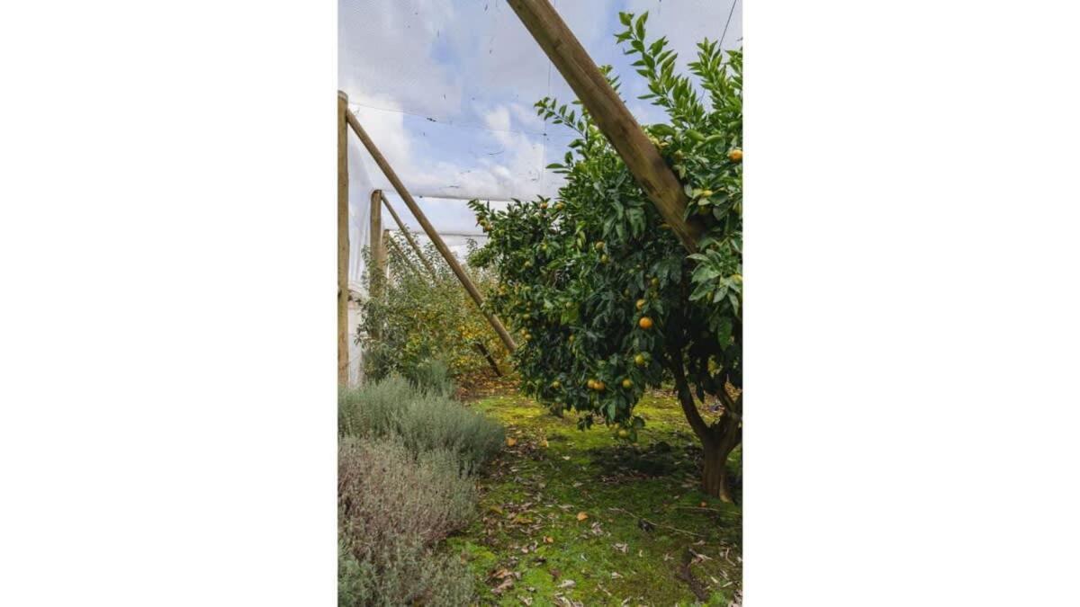 The Junction By Tiny Away Holiday home *