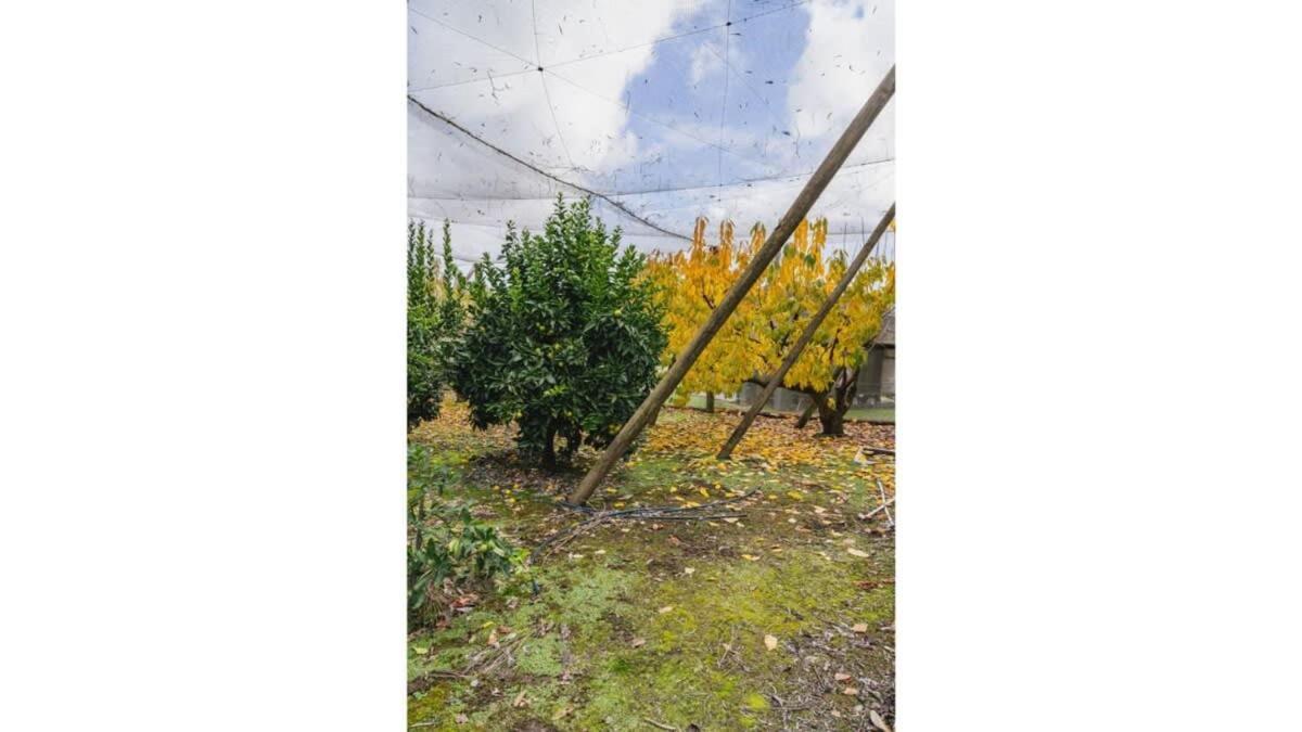 Holiday home The Junction By Tiny Away Yarra Junction