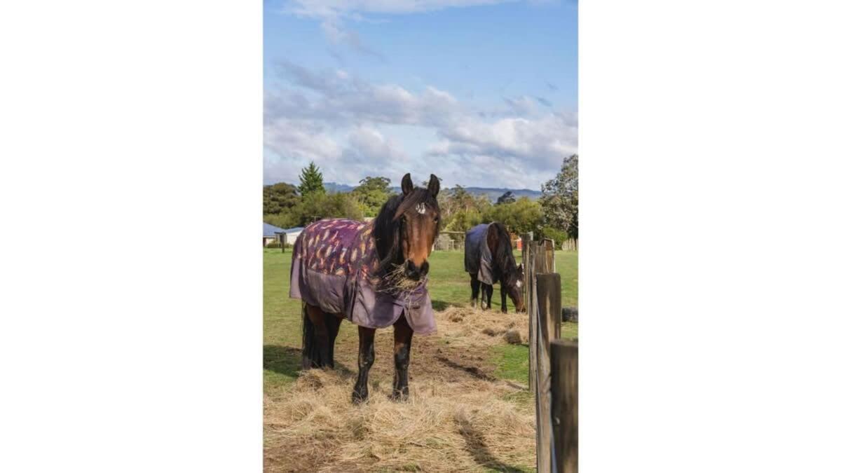 The Junction By Tiny Away Holiday home Yarra Junction